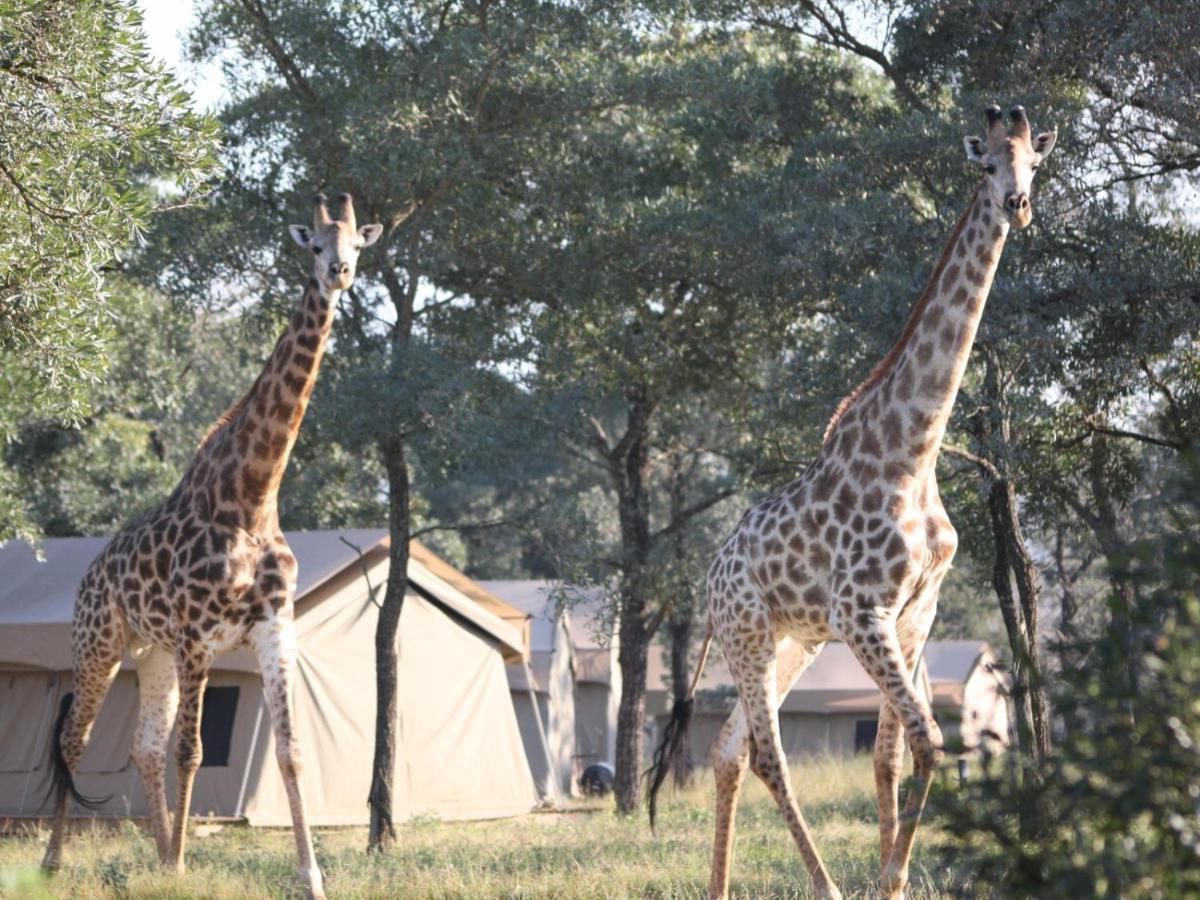 Unyati Safari Lodge Hectorspruit Exterior foto
